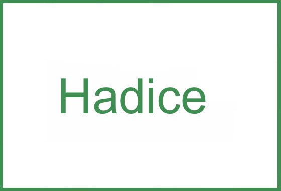 Hadice
